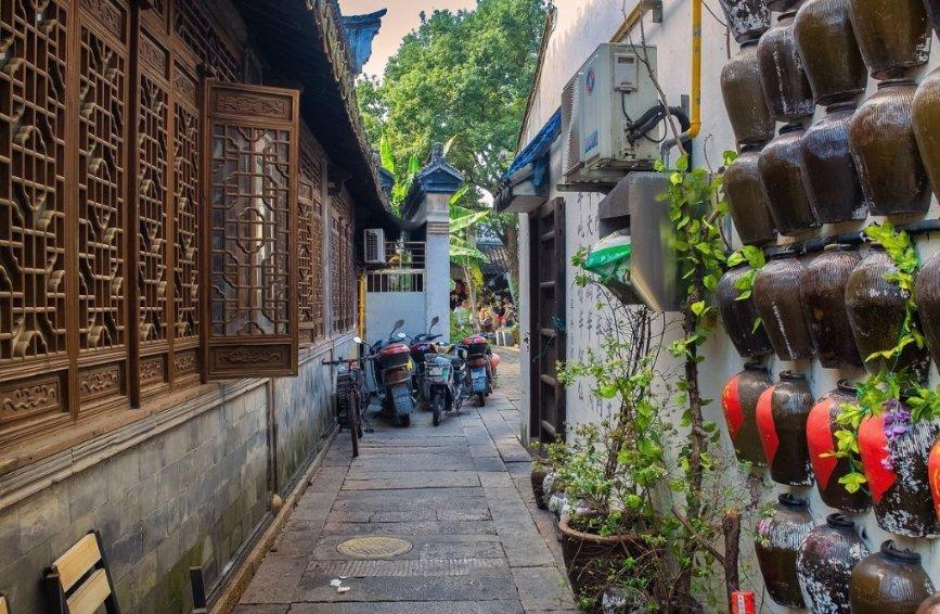 幽灵蛸为什么被称为海上吸血鬼？